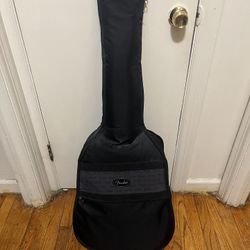 Montana Guitar 