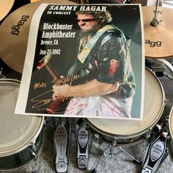 Sammy Poster