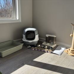 Cat Kitten starter kit