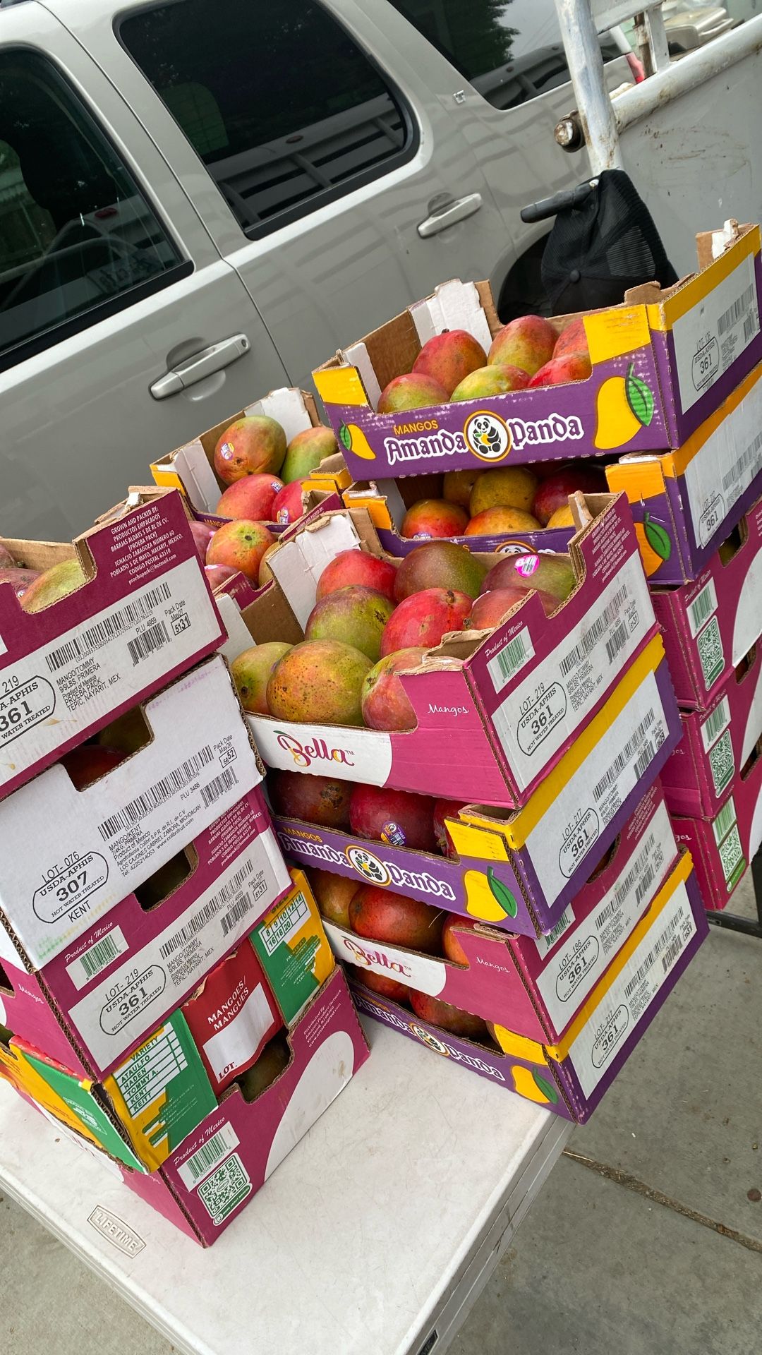 Mango Box