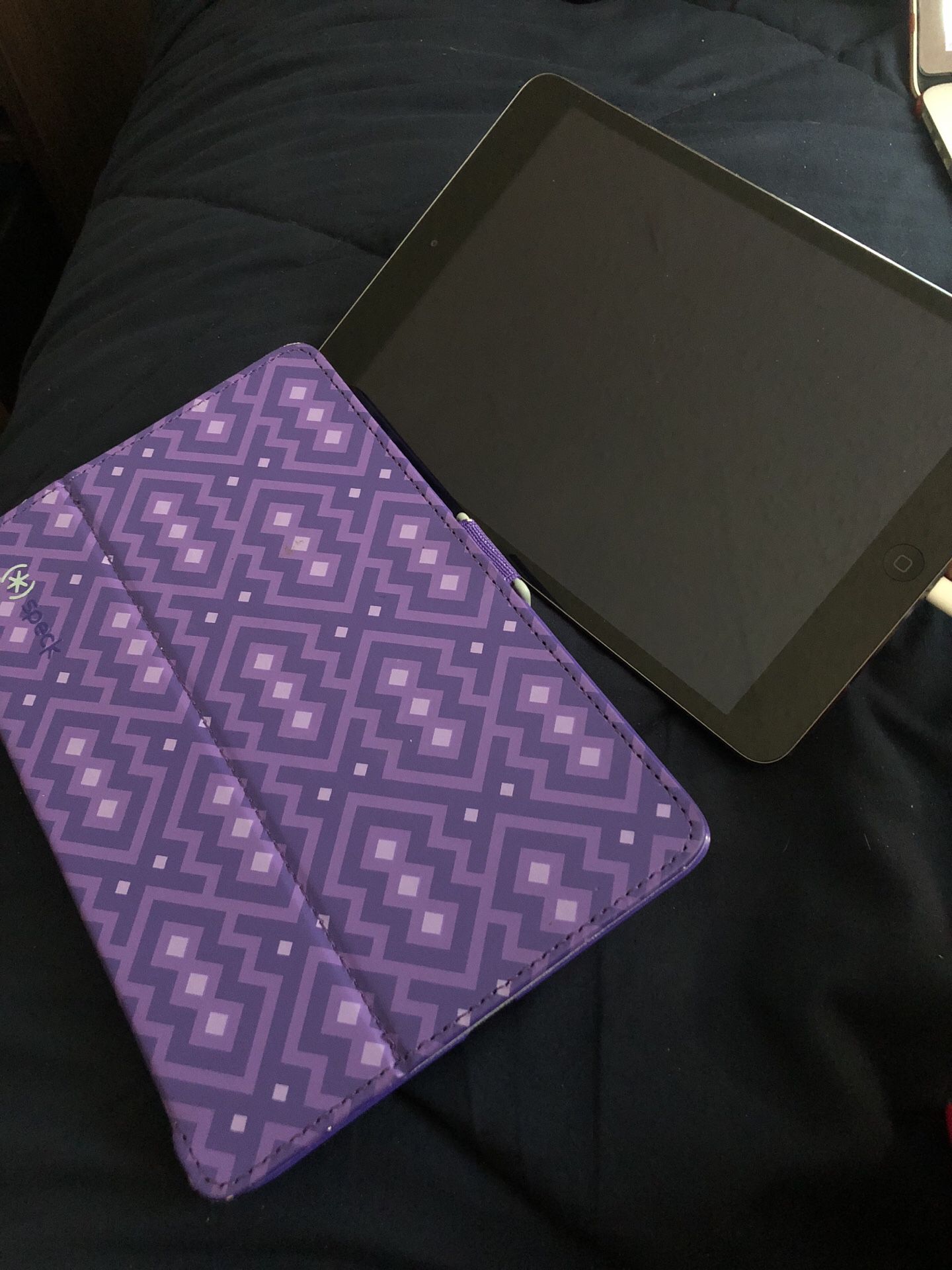 iPad mini 2 with speck case