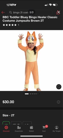 Bingo costume