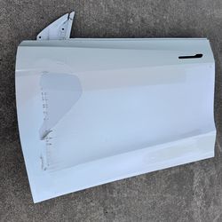 2020-2024 Tesla Model Y front Left door