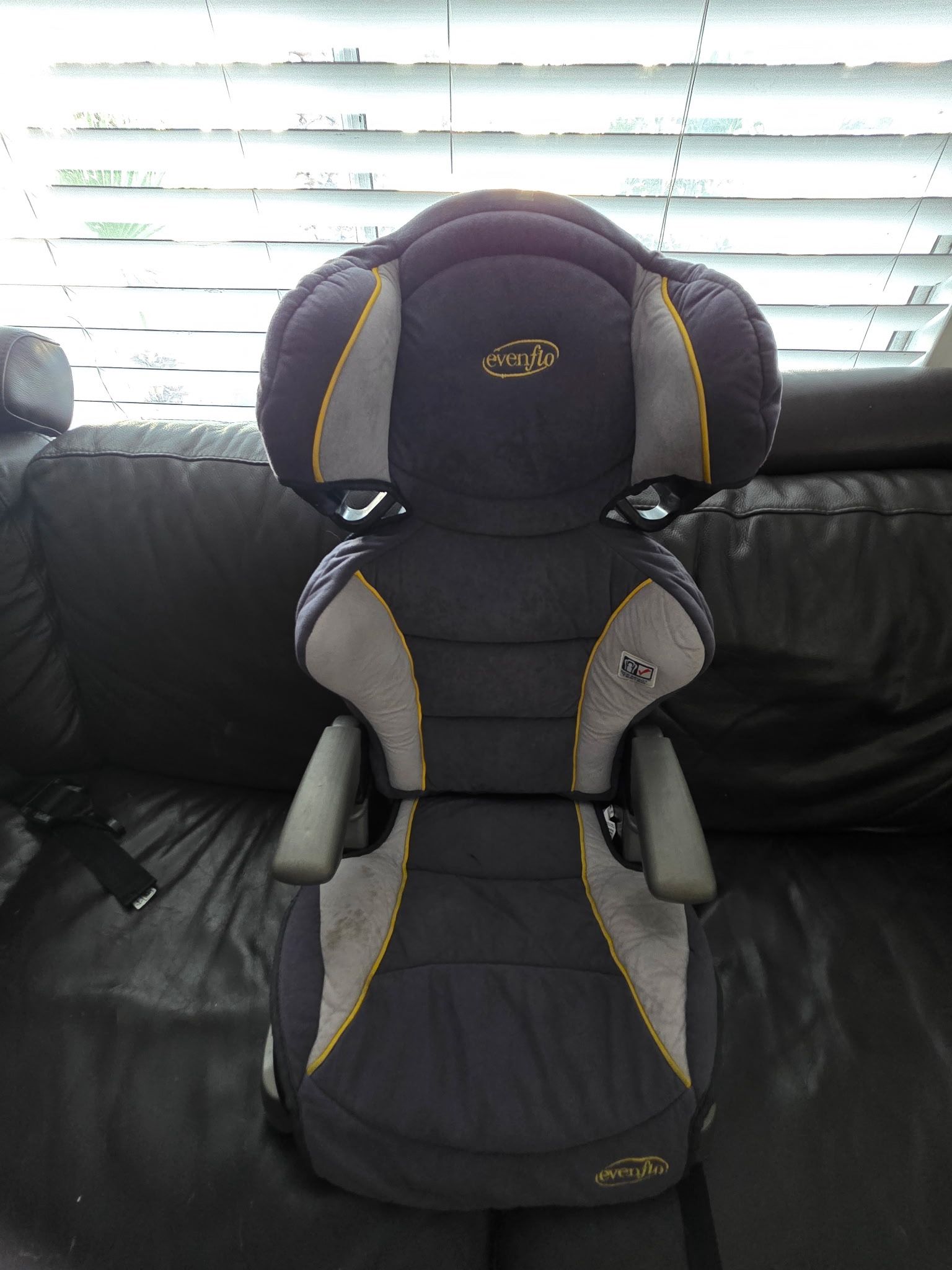 Evanflo Snugli Car Seat 