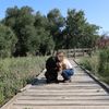 Tara Landis