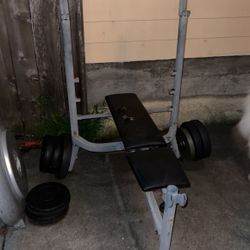 Weight Bench 