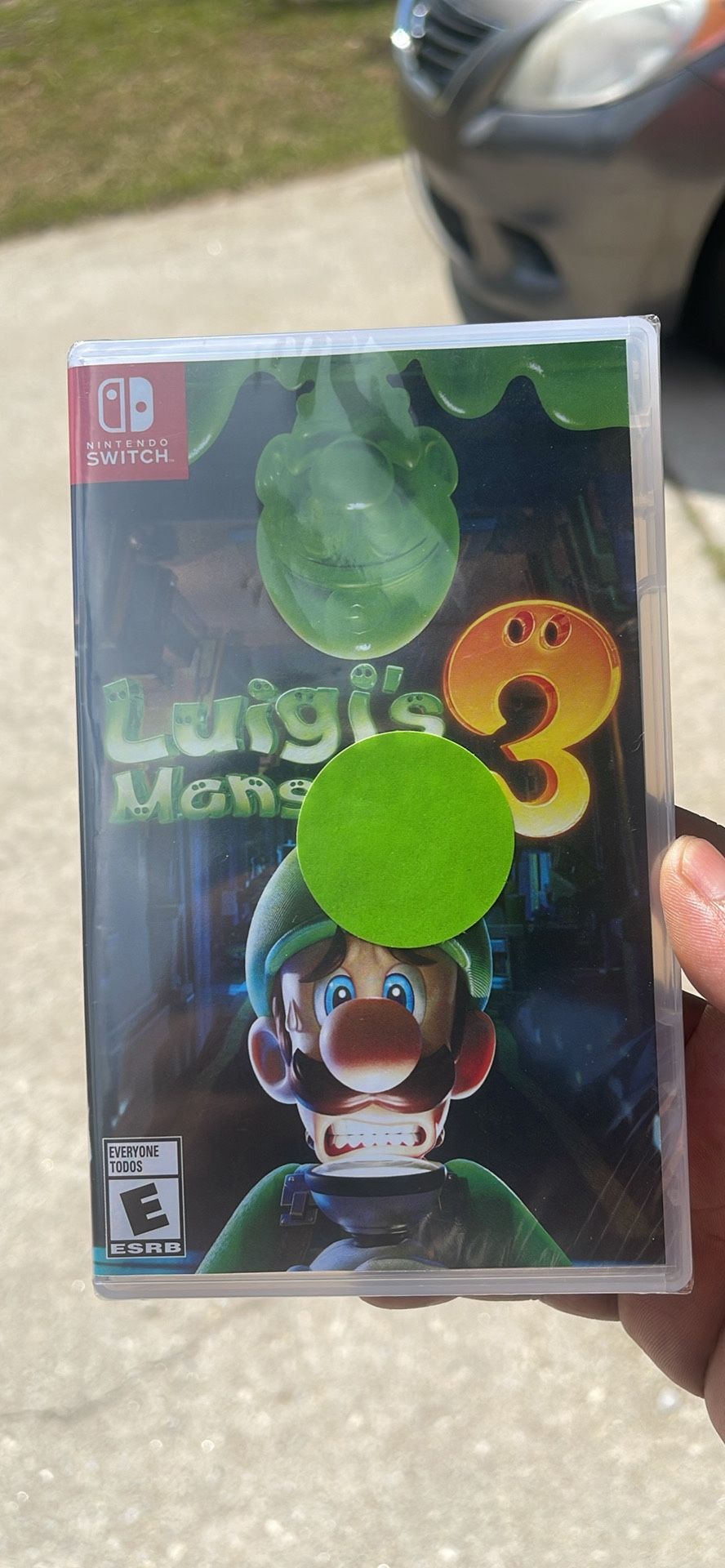 Luigi's Haunted Mansion 3