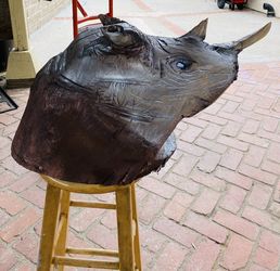 Rhino Head