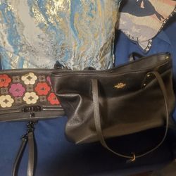 Bags Coach And Minkoff Bag