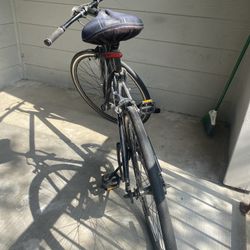 Priority Ace Bike
