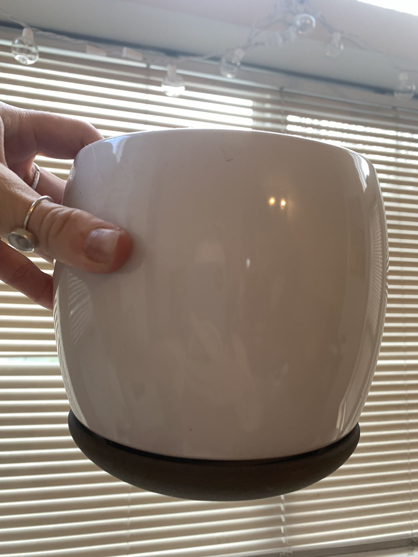 6in Plant Pot