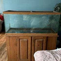 75 gallon aquarium