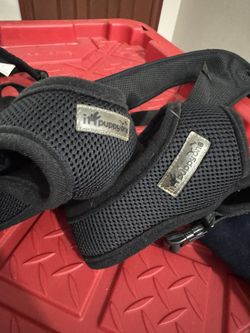 Dog Harness, Collars And Leash