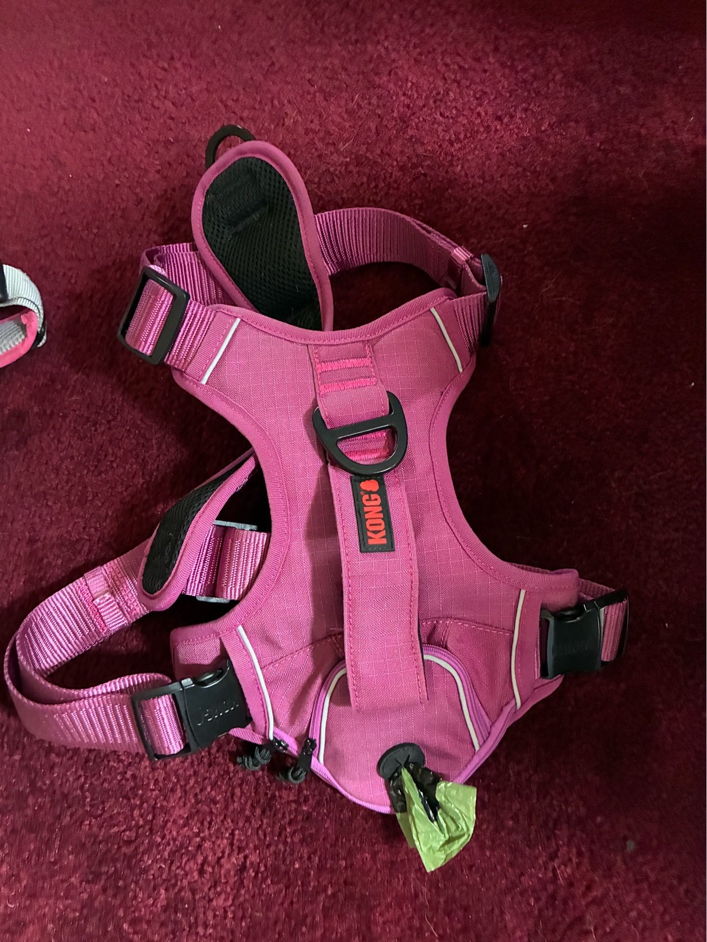 Kong Harness