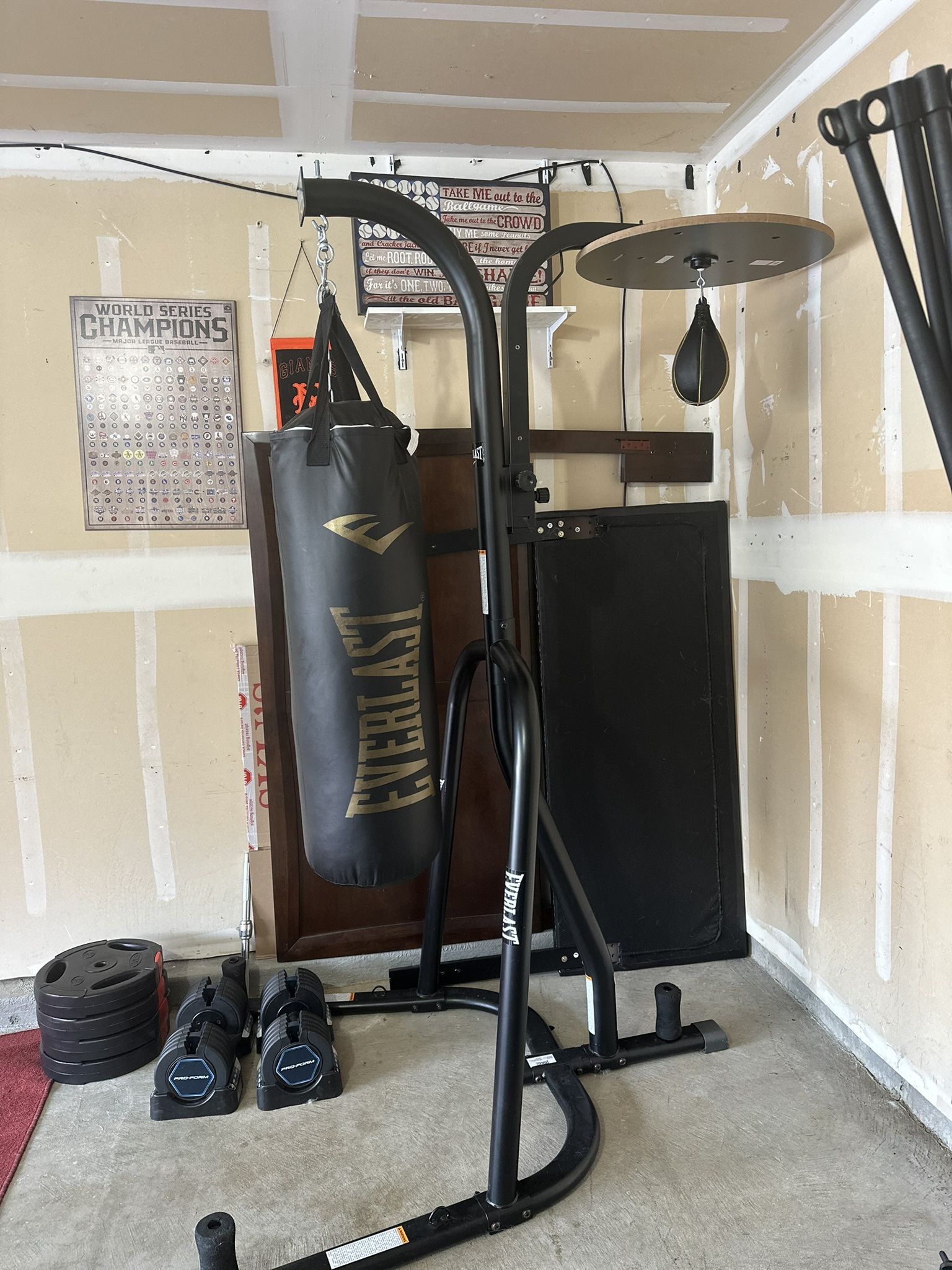Everlast Heavy bag with Speed bag for sale $150