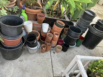 Botes Para Plantas De Todos Tamaños