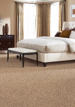 Carpet Rugs