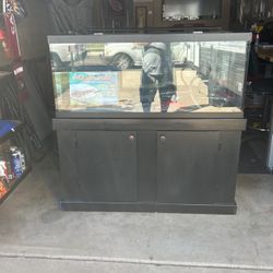 75 Gallon Fish Aquarium 