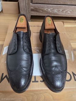 Allen Edmonds 9.5 D Wing Tips $65