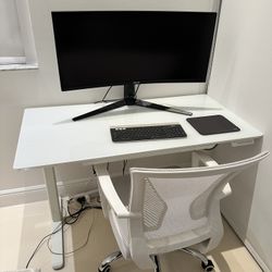 Electric Standing Desk