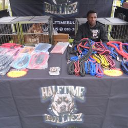 Braided Bully Leash & Collar 