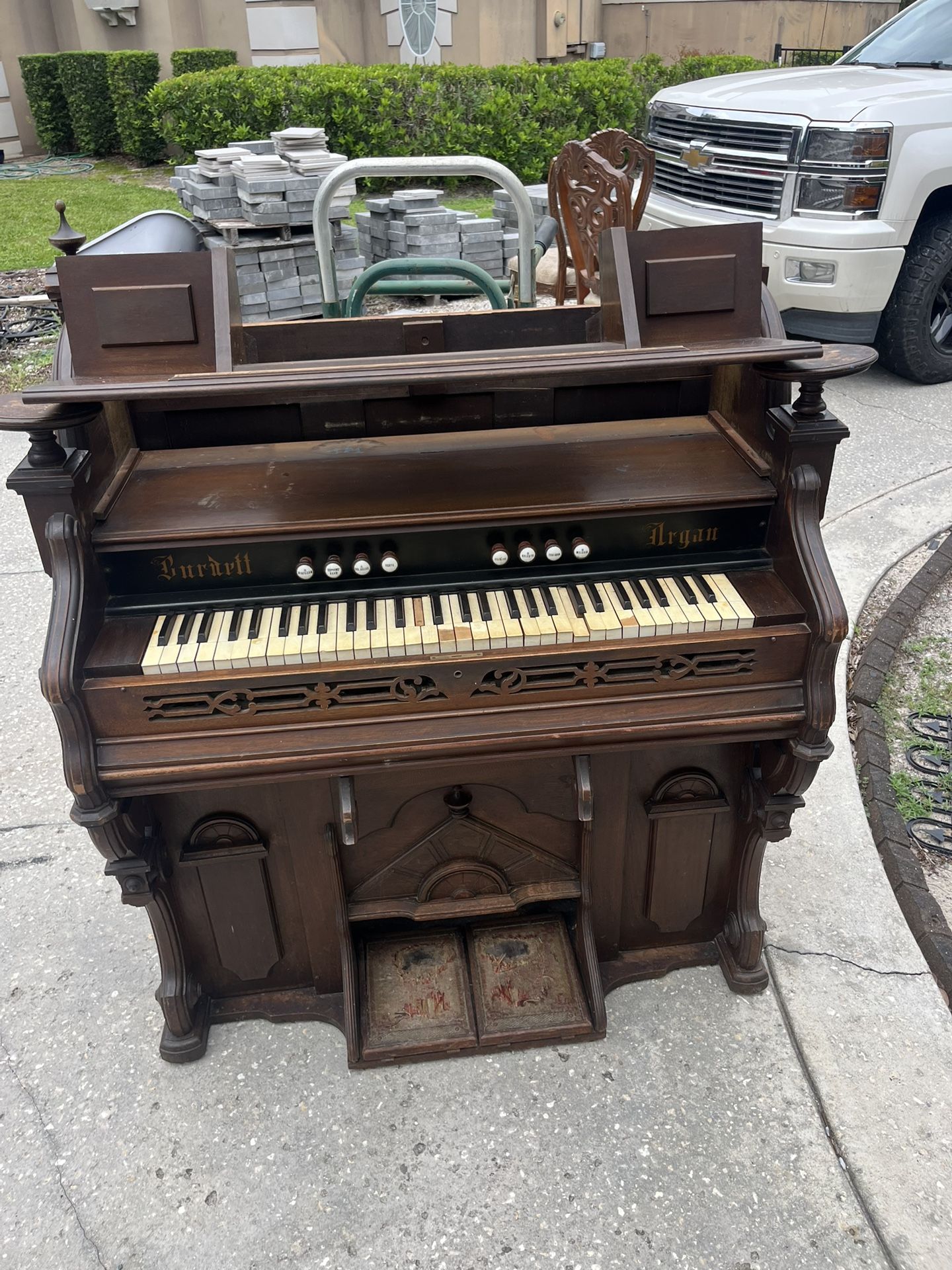BURRNET Antique Organ