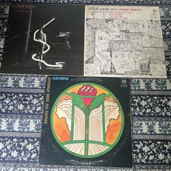 70s electro vinyl records Signs of the Zodiac Mort Garson Synergy
