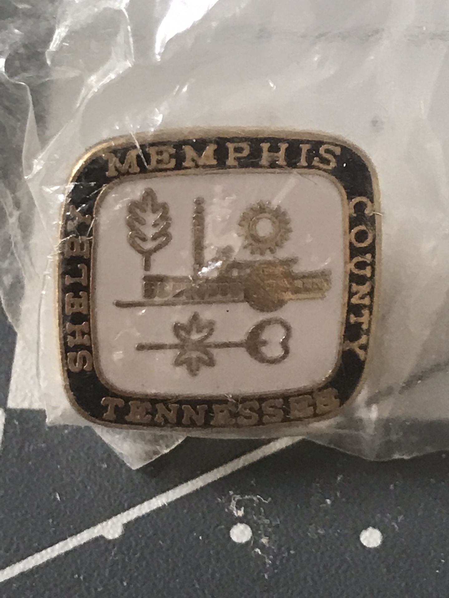 Brand new Tennessee, shelby county, Memphis city lapel pin