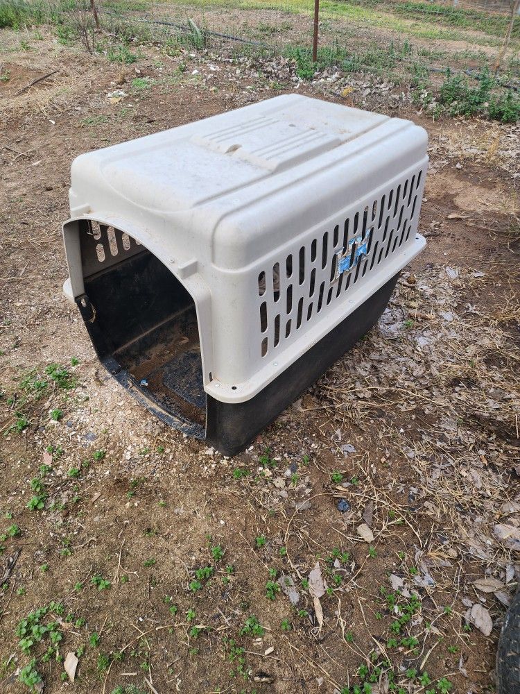 Dog Kennel