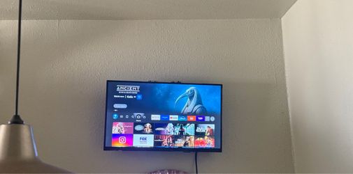 24” fire tv