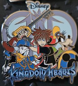Disneyland pin