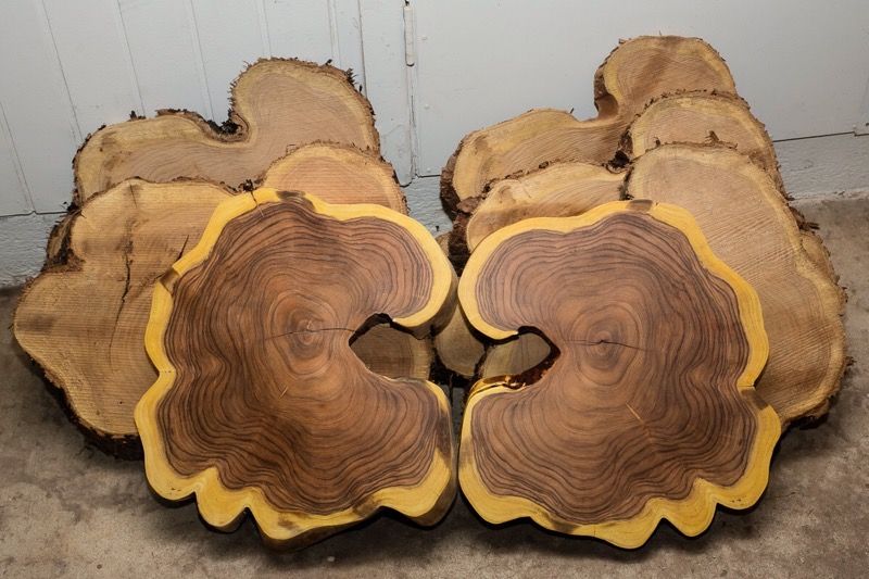 Live Edge Giant Mesquite Slabs