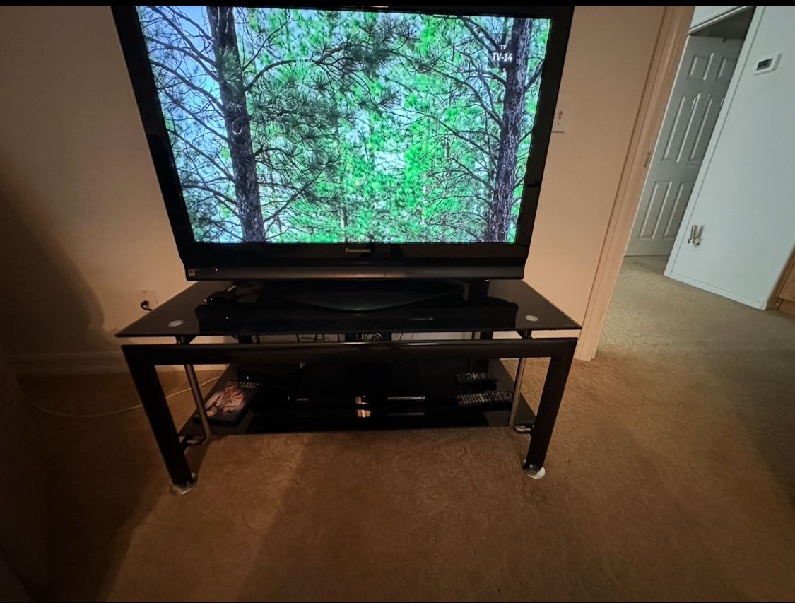 Panasonic 42” Plasma HD TV w / Custom Stand