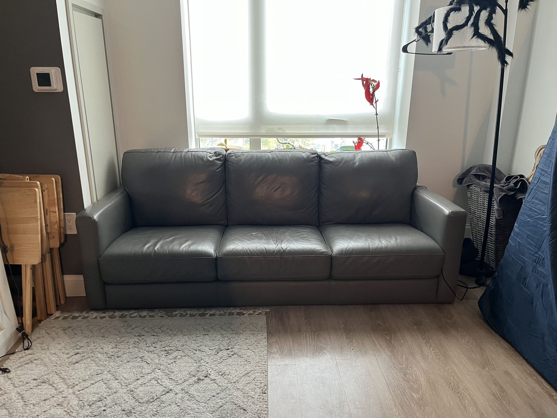 Gray Leather Couch