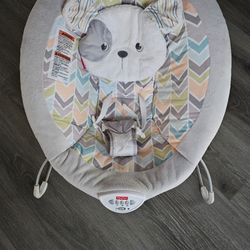 Baby Bouncer