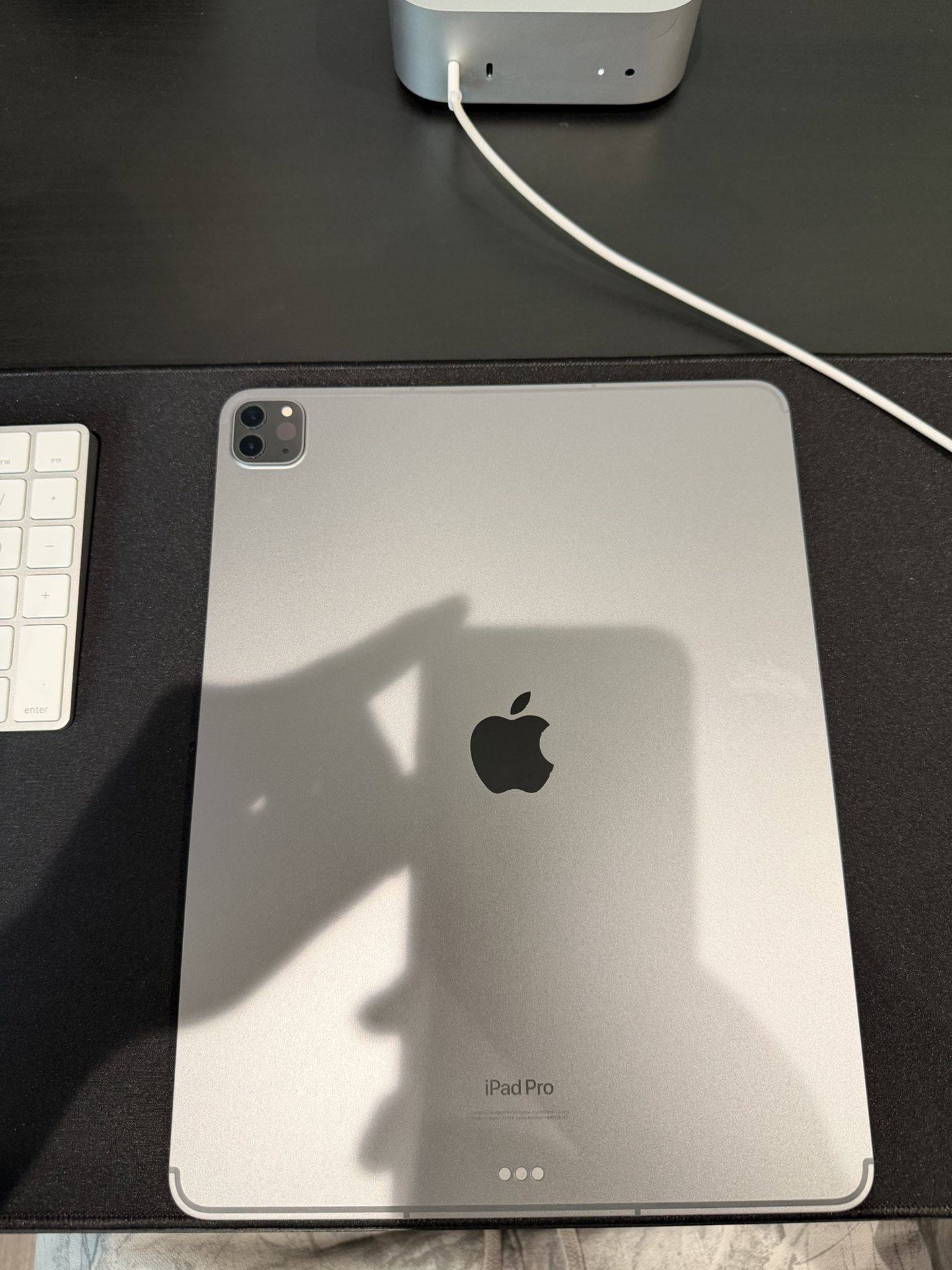iPad Pro 12.9 Cellular 