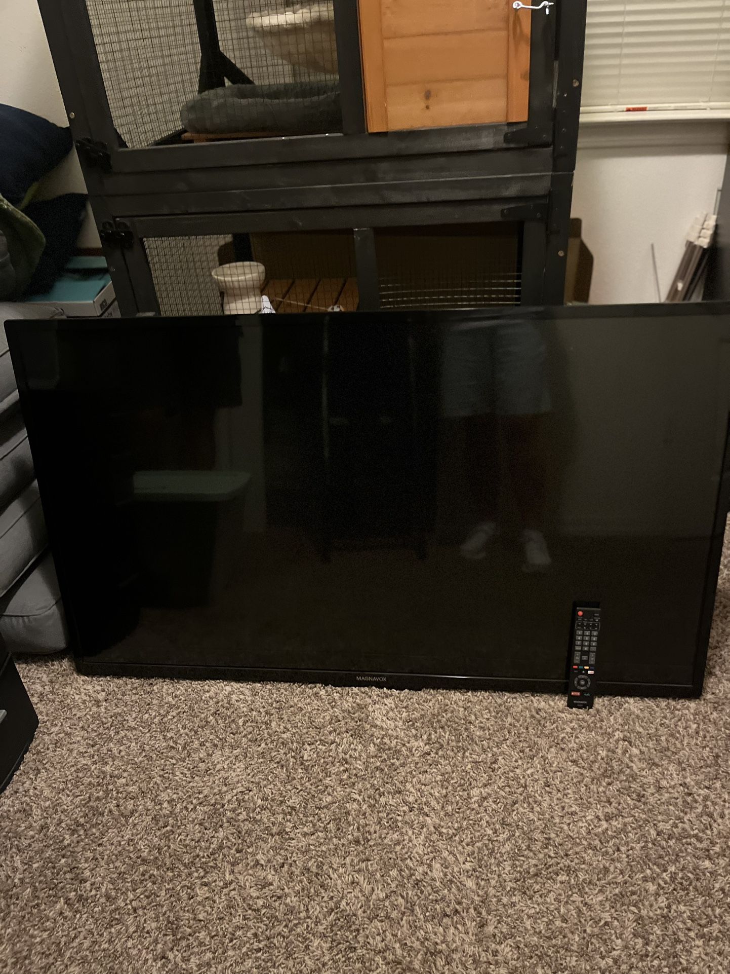 55 Inch Magnavox