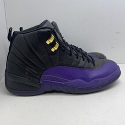 Jordan Retro 12 Mid Field Purple Shoes 205765