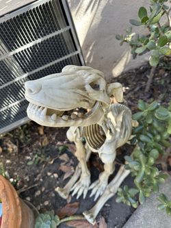 Animated LED Skeleton Dog