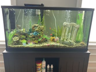 Aquarium Tank With Accessories And Wooden Desk