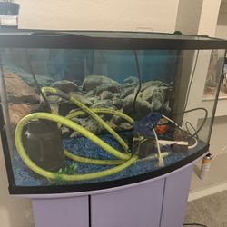 Fish Thank