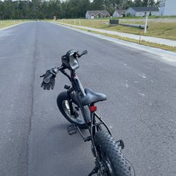 Q Life Fat Tire E Bike