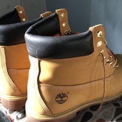 Mens Timbs