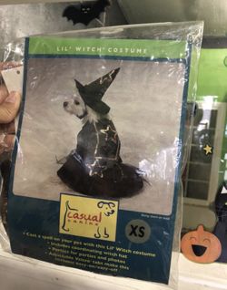 Witch dog costume