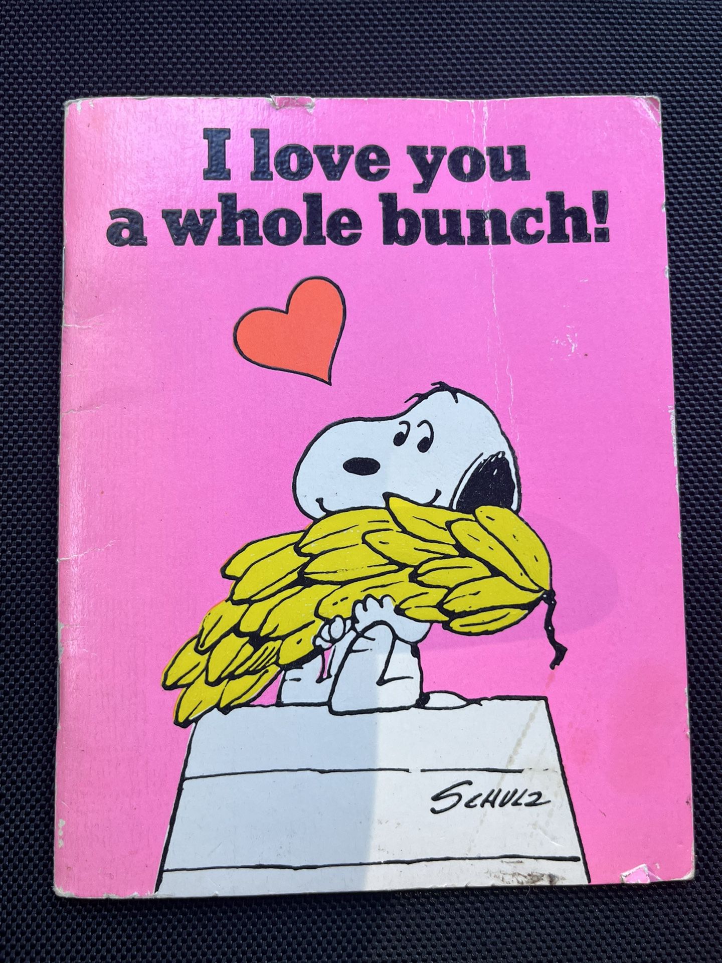 Vintage Hallmark Snoopy Book - I Love You A Whole Bunch