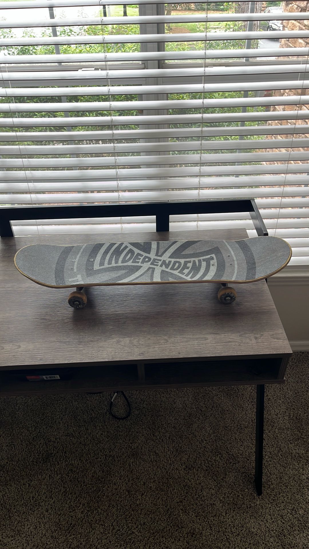 Slightly Used Custom Skateboard
