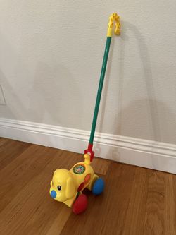 Puppy Push Toy