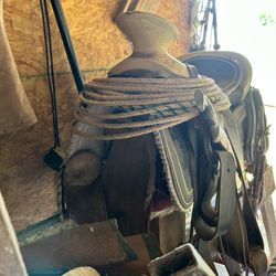 Montura Pitiada Negra