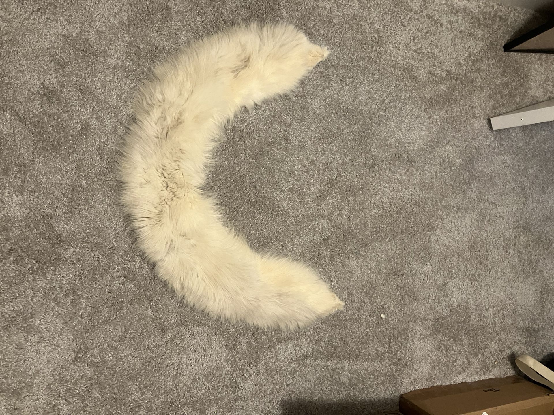 Real Fur White Fox L42 X 5 Inches