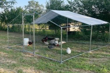 Brand new 2 family style of chicken coop
